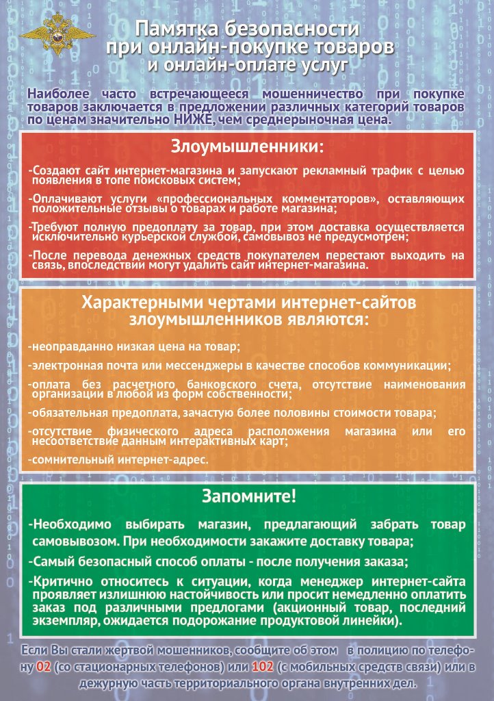12_Onlayn_pokupki3.jpg